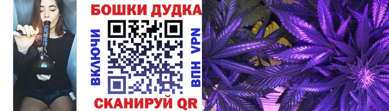 Как найти закладки Боровичи ГАШ  Марихуана  СОЛЬ  Меф мяу мяу 