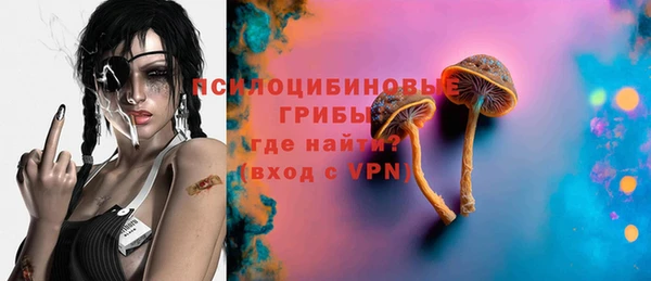 МДПВ Белокуриха