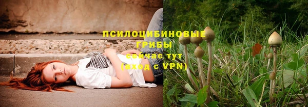 МДПВ Белокуриха