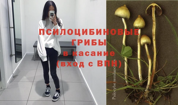 MDMA Богородск