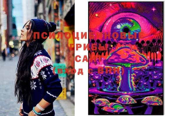 мяу мяу мука Беломорск