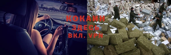 мяу мяу мука Беломорск
