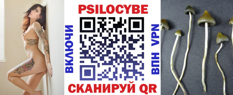 Псилоцибиновые грибы Psilocybe  ссылка на мегу зеркало  Боровичи 